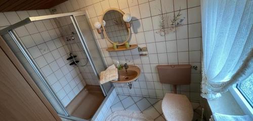 a small bathroom with a shower and a sink at Spatzennester-Vogelsberger Hof in Grebenhain