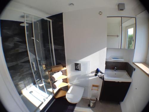 a bathroom with a toilet and a sink and a mirror at Beau studio équipé - Calme et confortable in Bourg-en-Bresse