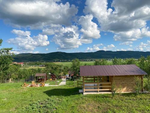 a cabin in the middle of a field at Pensiunea Agroturistica Casa Tarta in Livada
