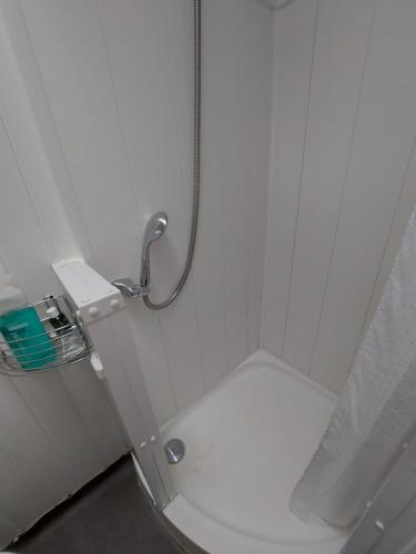 a small bathroom with a toilet and a shower at Garden Studio Cottage in London