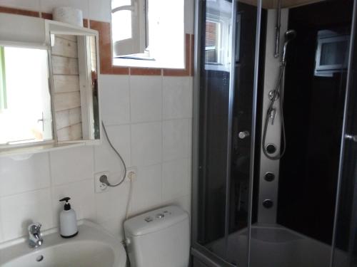 a bathroom with a shower and a toilet and a sink at Rekreační chatka / Tiny House in Františkovy Lázně