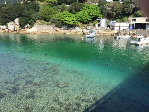 Gallery image of Hotel Bellreef Otsuki - Vacation STAY 43762v in Otsuki