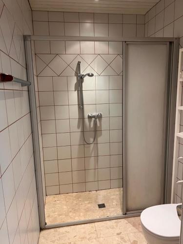 a shower with a glass door in a bathroom at Monteurzimmer Linz in Linz