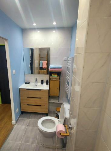 une salle de bain avec toilettes et lavabo dans l'établissement El bahia bel appartement lumineux et ensoleillé, à Boulogne-sur-Mer