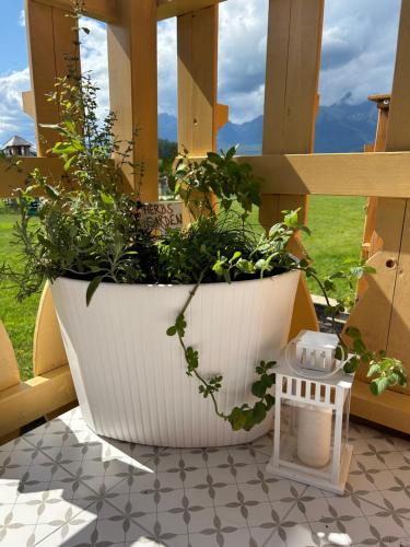 a large white pot with plants in it on a patio at ApartLiv in Veľká Lomnica