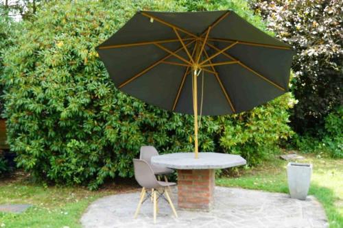 Ein Garten an der Unterkunft Tiny House Close to Brussels South Charleroi Airport