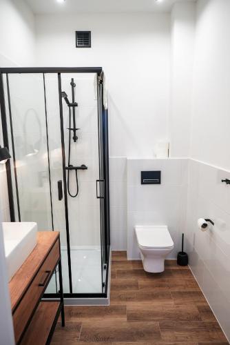 a bathroom with a shower and a toilet and a sink at La Familia TYBURA in Uniejow