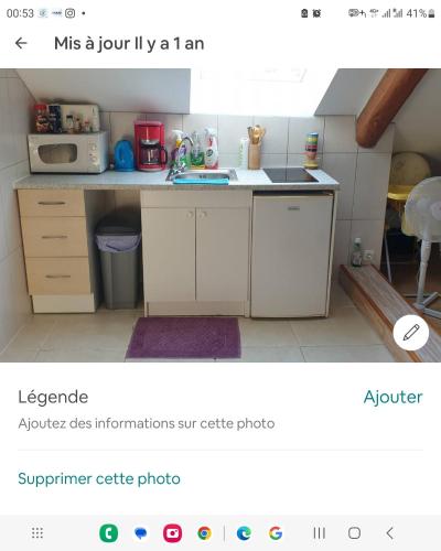 une cuisine avec un évier et un micro-ondes dans l'établissement Studio meublé centre ville de mer, à Mer