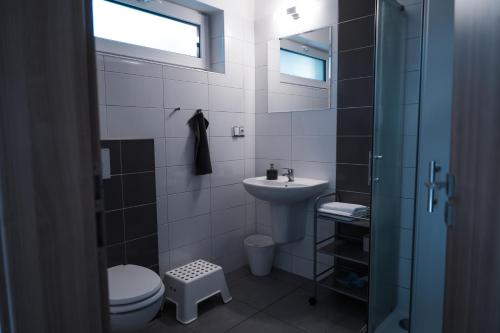 ein Bad mit einem WC und einem Waschbecken in der Unterkunft Penzion u Hošků in Vrbice