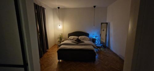 ein Schlafzimmer mit einem Bett, auf dem eine Katze liegt in der Unterkunft Apartment Stella Danica in Čatež ob Savi