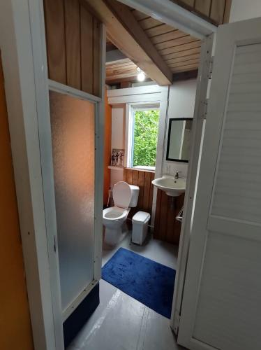 a bathroom with a toilet and a sink and a mirror at Bellavista - Blue Lizard Studio in Providencia
