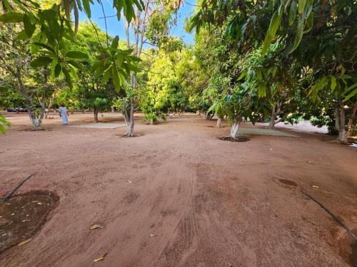 a dirt road with trees in a park at Mango Farm Camp in Al-Disah