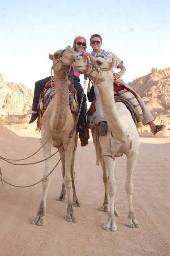West aswan – Photos 2