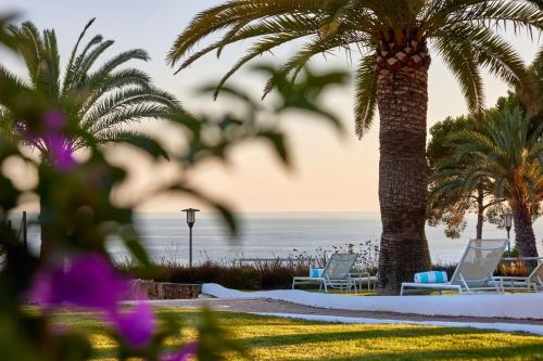 a beach with two palm trees and chairs and the ocean at Hilton Mallorca Galatzo in Paguera