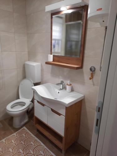 y baño con aseo, lavabo y espejo. en Dream Home Nis, en Niš