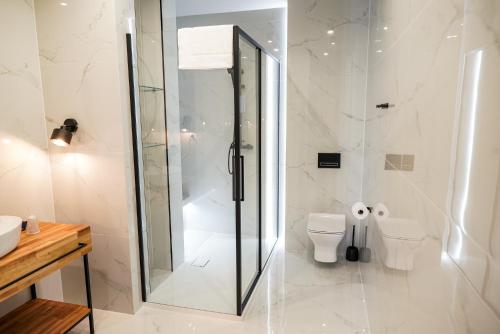 a bathroom with a shower and a toilet at La Familia TYBURA in Uniejow