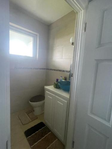 a bathroom with a toilet and a sink and a window at Raha Villas in Gros Islet