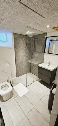 a bathroom with a toilet and a shower and a sink at New York basement apartment in Copenhagen