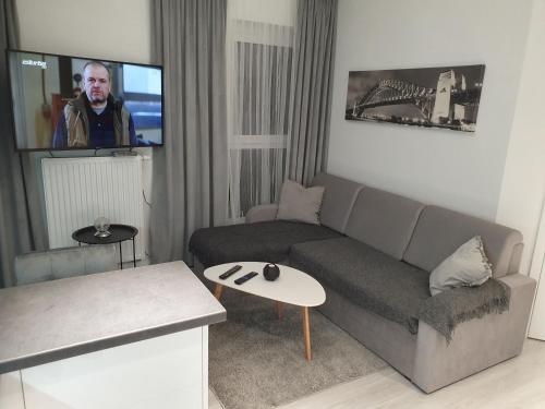 シュチェチンにあるApartament REDA CITYのソファとテレビのあるリビングルーム