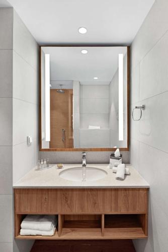 a bathroom with a sink and a large mirror at Hilton Garden Inn Vilnius City Centre in Vilnius
