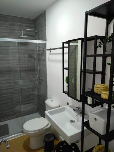 a bathroom with a toilet and a sink and a shower at apartamentos Larios centro in Sanlúcar de Barrameda