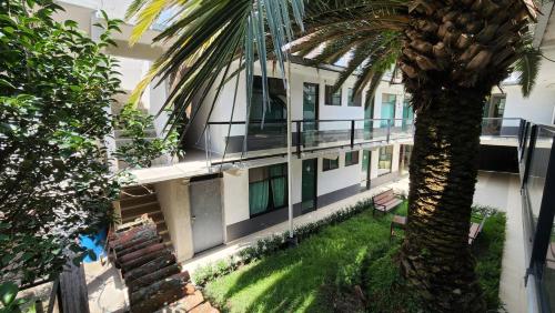 a building with a palm tree in front of it at La Palma Coliving 