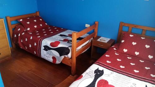a bedroom with two bunk beds and a cat bed at Hostel Chango in Caldera