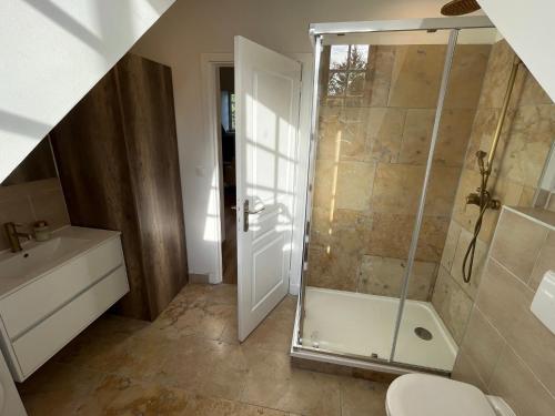 a bathroom with a shower and a toilet and a sink at La Grand Maison in Orléans