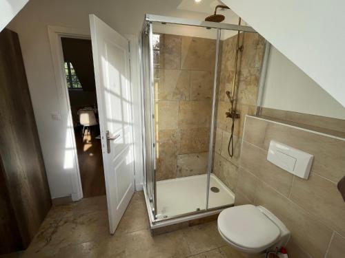 a bathroom with a shower and a toilet at La Grand Maison in Orléans