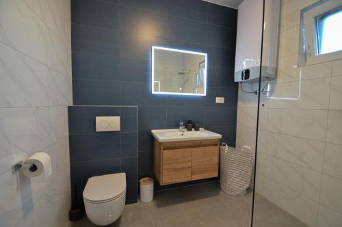 ein Badezimmer mit einem WC, einem Waschbecken und einem Spiegel in der Unterkunft Villa DOKA in Donji Zemunik