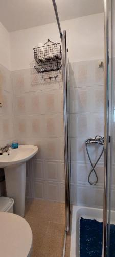 a bathroom with a shower and a toilet and a sink at Quinta dos Castros Douro in Baião
