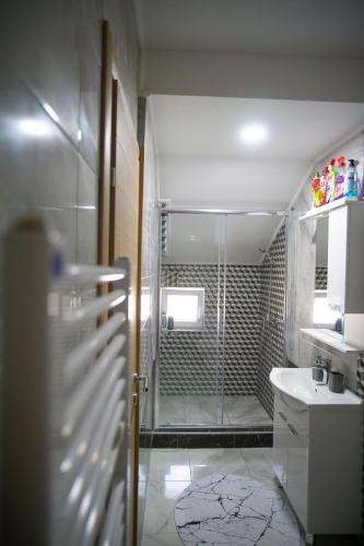 Koupelna v ubytování Luxury Apartments Milićević