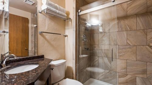 a bathroom with a toilet and a sink and a shower at Best Western Galena Inn & Suites in Galena