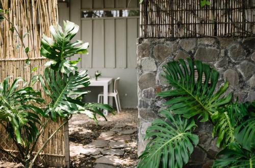 a garden with a table and some plants at Anzan Atitlan in San Marcos La Laguna