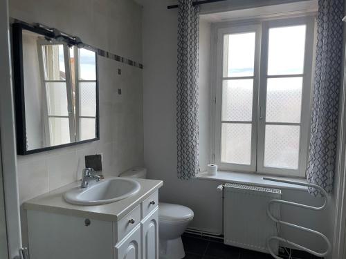 a bathroom with a sink and a toilet and a window at Grand appartement centre ville quartier calme in Neufchâteau