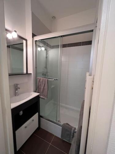 une salle de bain avec douche et lavabo dans l'établissement Le Pawlina, à Nantes