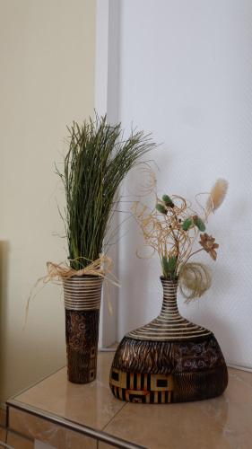 two vases sitting on a table with plants in them at Ferienwohnung Dresden Trachenberge in Dresden