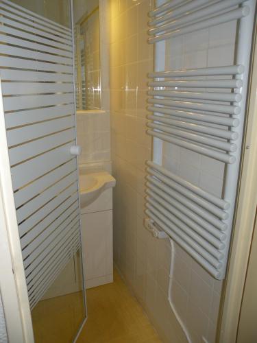 a bathroom with a shower and a toilet and a sink at Au Coeur De La Station in Les Deux Alpes