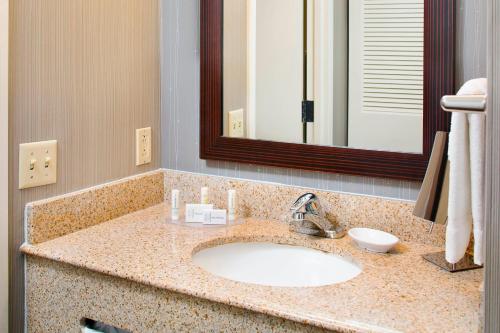 a bathroom counter with a sink and a mirror at Courtyard by Marriott Ann Arbor in Ann Arbor