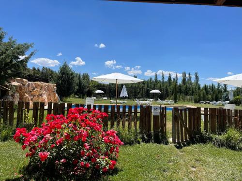a garden with red flowers and a fence and a pool at El BURGO DE OSMA ALOJAMIENTO RURAL VILLA BAGH in El Burgo de Osma