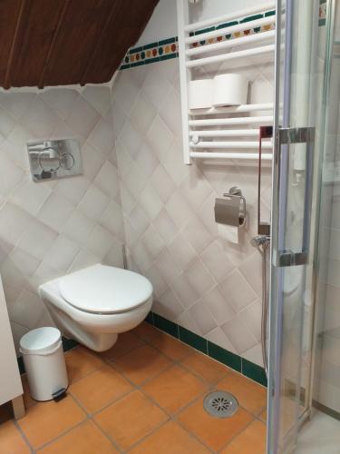 a small bathroom with a toilet and a shower at Casa-Mirador La Alhacena in Granada