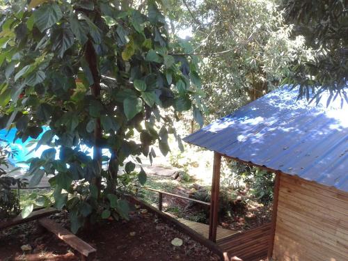 Κήπος έξω από το Cabañas Sueño Azul