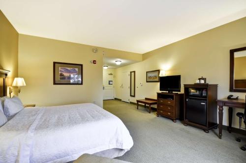 a large bedroom with a bed and a television at Hampton Inn & Suites North Charleston-University Boulevard in Charleston