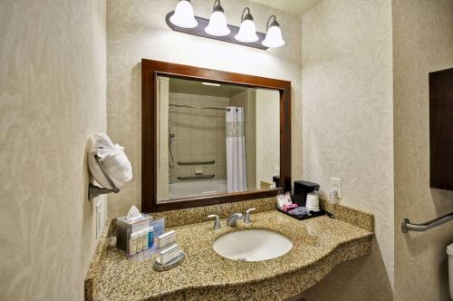 a bathroom with a sink and a mirror at Hampton Inn & Suites North Charleston-University Boulevard in Charleston