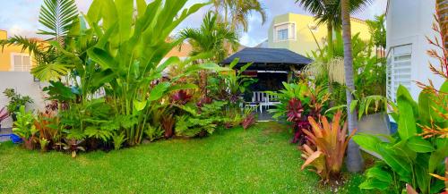 a garden in front of a house with plants at La SELVITA in Bajamar