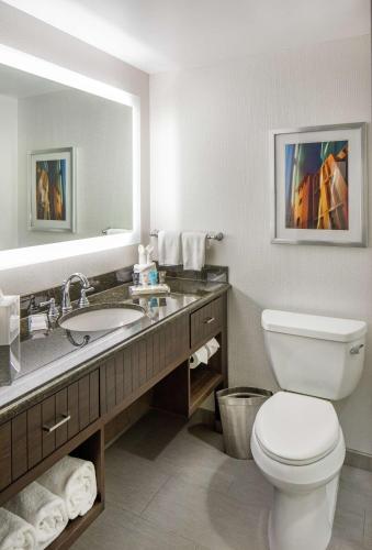 a bathroom with a toilet and a sink and a mirror at Hilton Minneapolis in Minneapolis
