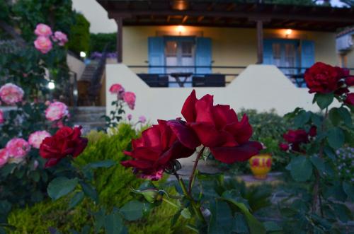 Jardín al aire libre en Hotel Dina - Ξενοδοχείο Ντινα