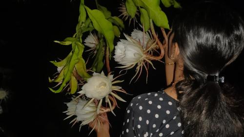 a woman is holding a plant with white flowers at EAST STAVANGER in Anaviratty