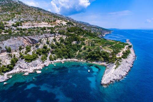 Apartments by the sea Cove Zarace - Hvar - 20924
