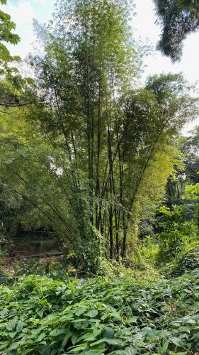 Paisaje cerca de este albergue